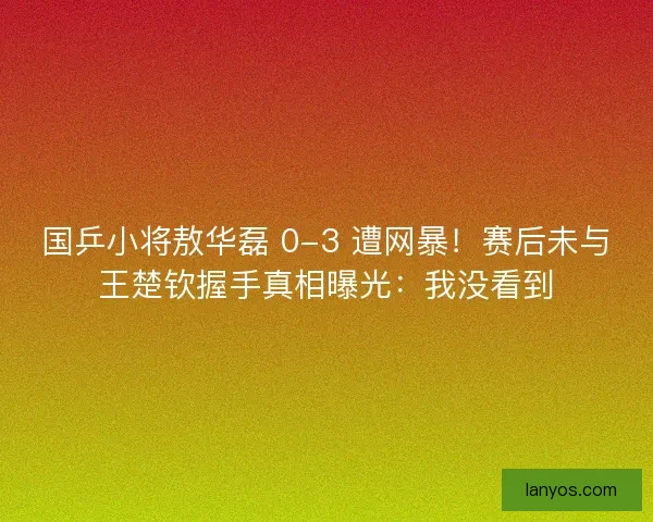 国乒小将敖华磊 0-3 遭网暴！赛后未与王楚钦握手真相曝光：我没看到
